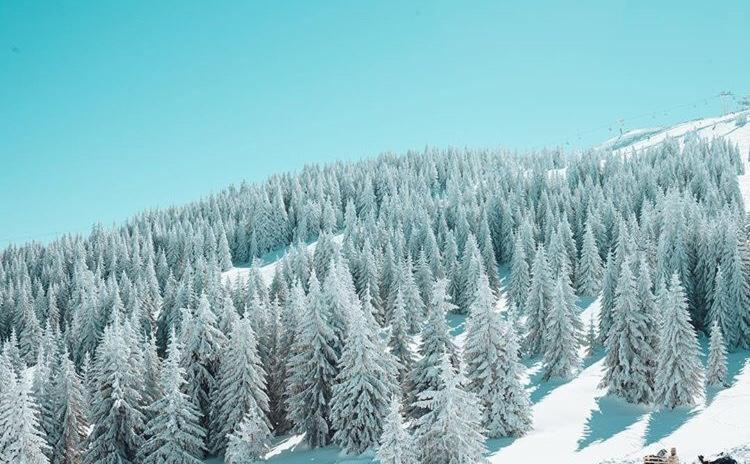 Dream Milmari L12 Apartman Kopaonik Luaran gambar